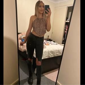 Meet your Posher, Phoebe